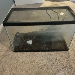 Turtle Tank 