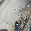 Mikhail_kicks