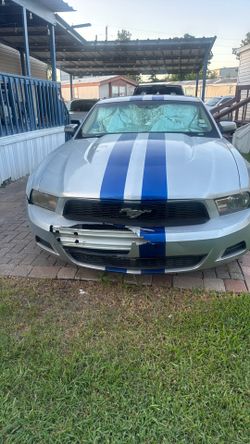 2010 Ford All Models