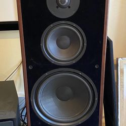 Canton CT100 Any Tower Floor Standing CT ERGO SERIES BUYING SPEAKERS CANTON ONLY 