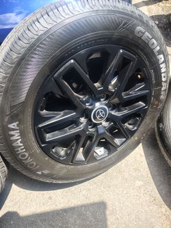 Sequioa or tundra rims