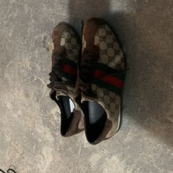 Gucci Shoes 