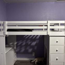 Wayfair loft bed 3 Years Old