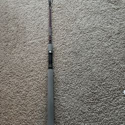 Roughneck Spinning Rod New