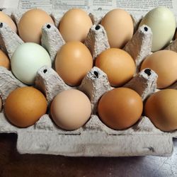 Farm Fresh Free Range Chicken Eggs