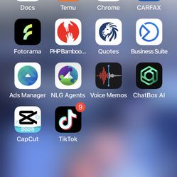 iPhone 13 Pro Max 258 GB CapCut And TikTok 