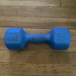 8 LB Dumbbell 