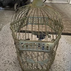 Bird Cage With Fake Birds