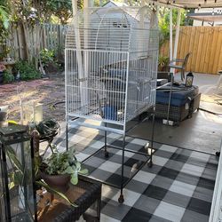 Bird Cage