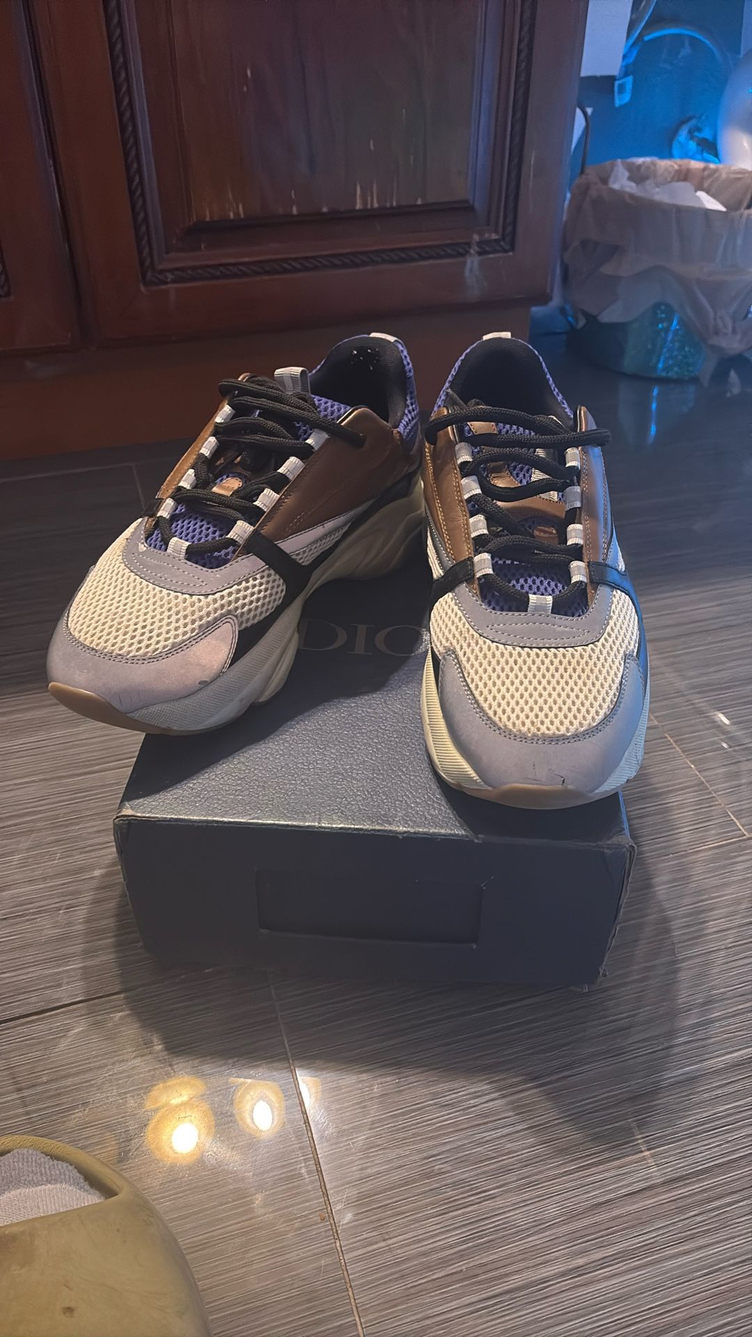 Dior B22s