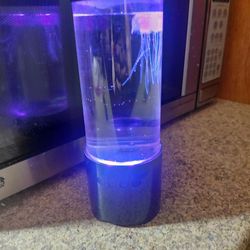 Bluetooth Changing Light