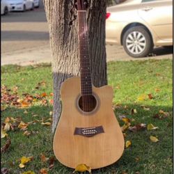 Acoustic Guitar 12 String 