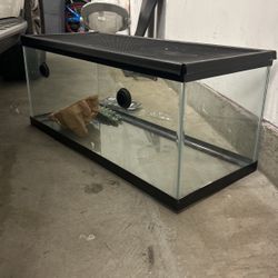 Tank 