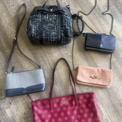 Any Purse (s)