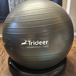 Exercise/Pregnancy Ball-New