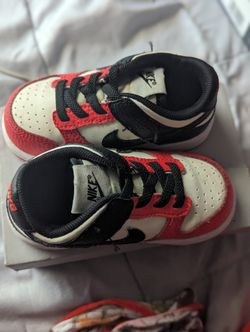 Toddler Nike Dunk 