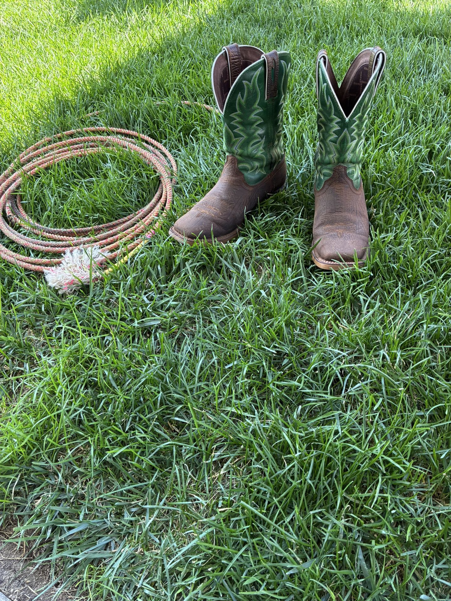 Mens Cowboy Boots