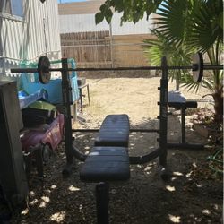 Olympic bar, weights, and bench 🏋️‍♀️🏋️