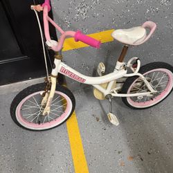 RoyalBaby Jenny 14” Kids Bike – $30 (Westfield, NJ – Cash Only)