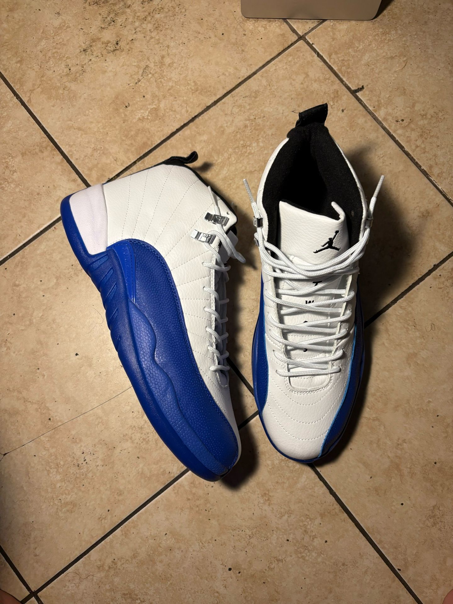 Jordan 12 Blueberry