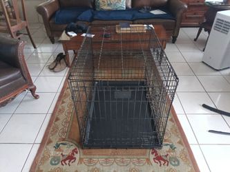 Dog Cage 36 X 24 27 High