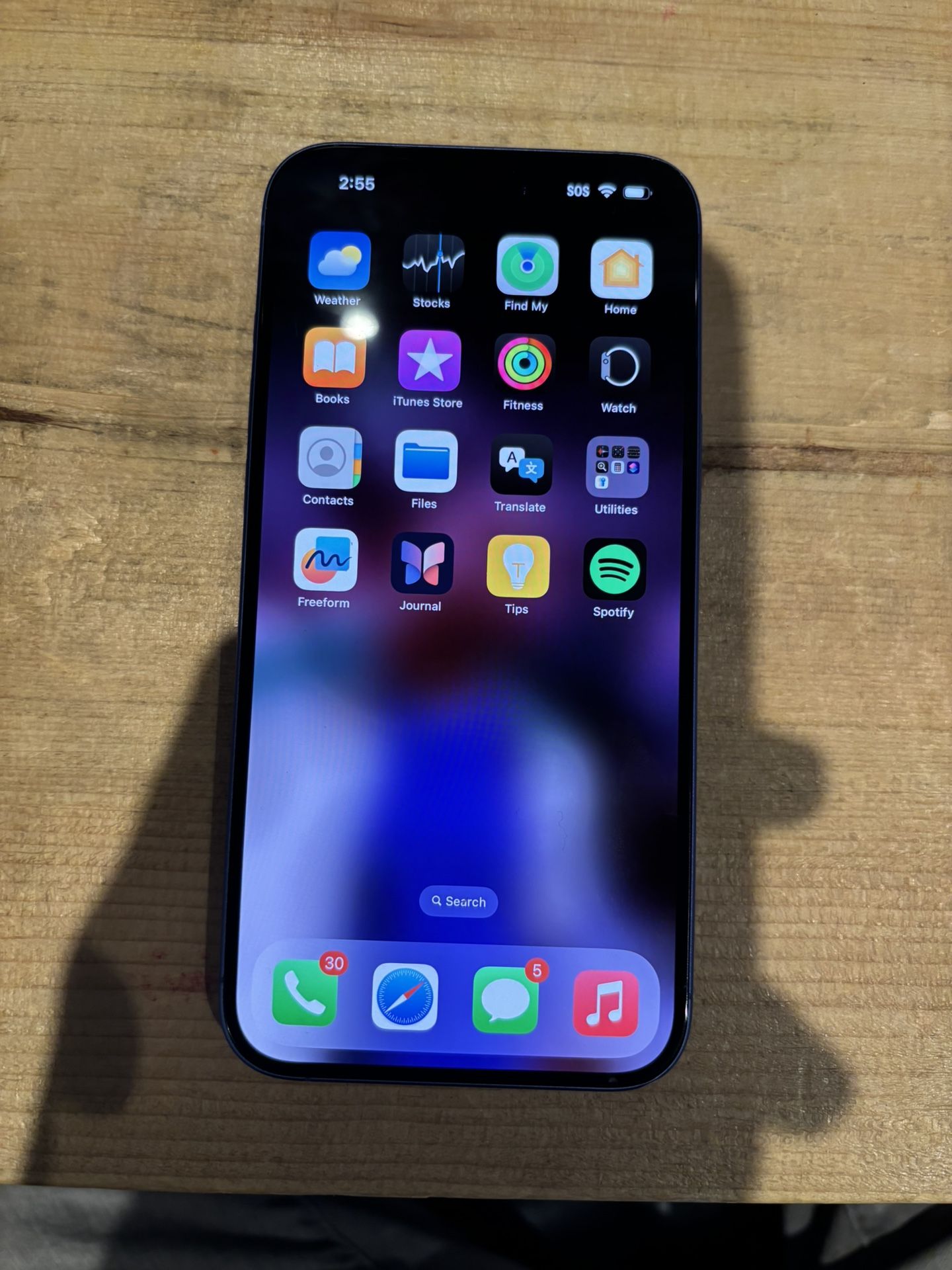 iPhone 16 Plus