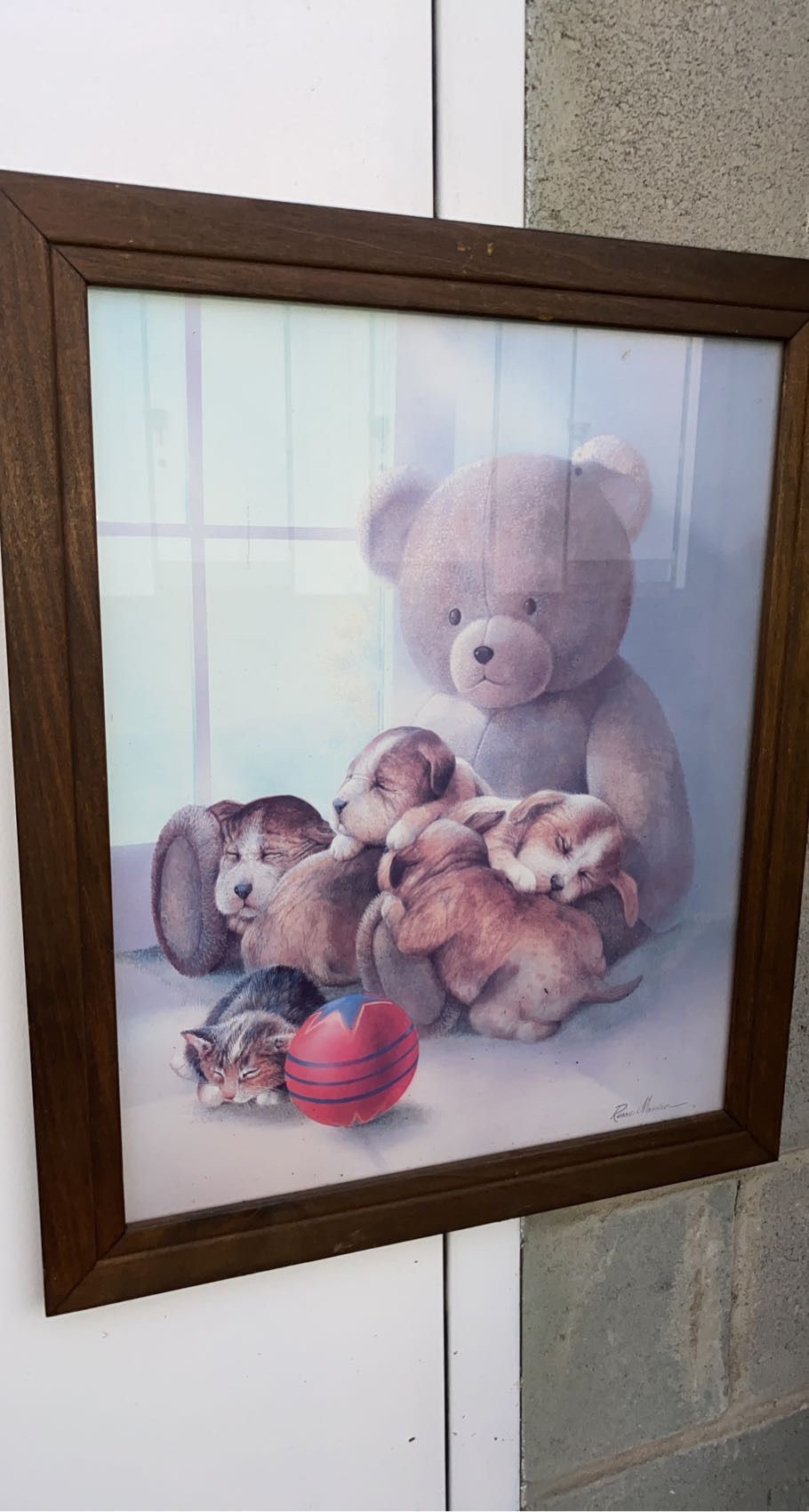 Teddy Bear And Puppy - Kitten Frame