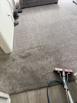 Heavy Duty Carpet Cleaner