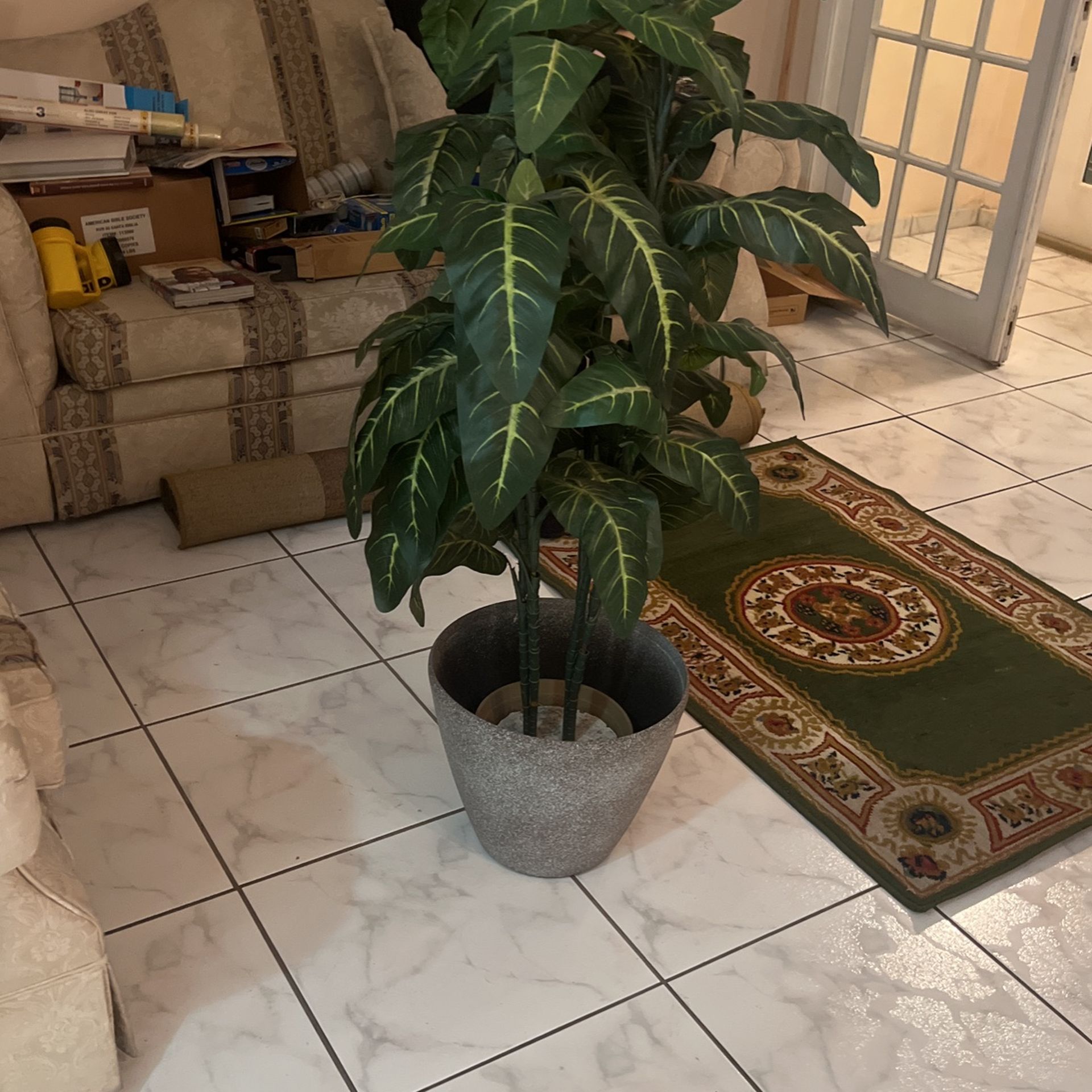 Fake Modern Plant