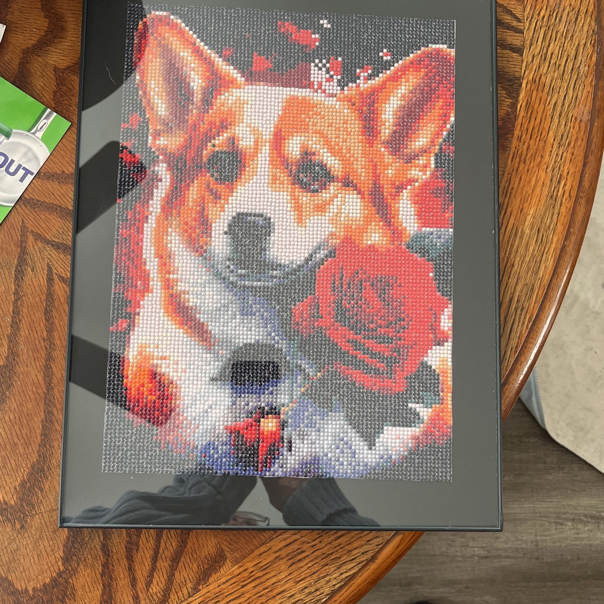Corgi With Rose