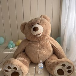 Large Teddy Bear