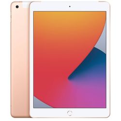 8th Generation 128g iPad  (WiFi + Cellular)