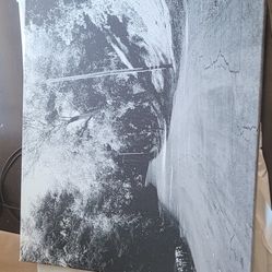 Two pictures on canvas print 
