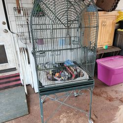 Bird Cage