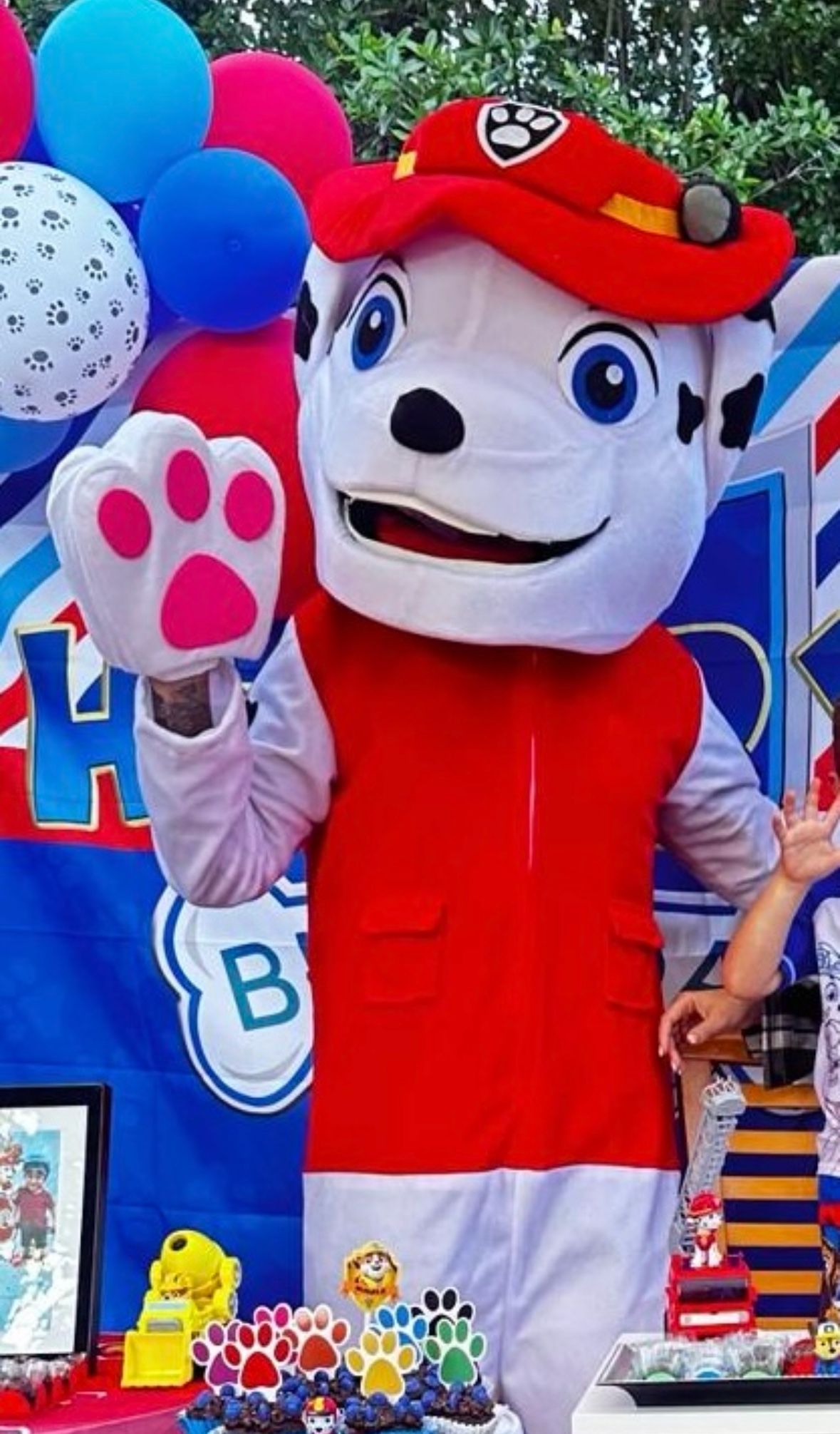 Paw Patrol Marshall Mascot Costume