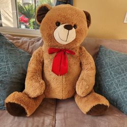 Valentine's Day Teddy Bear 