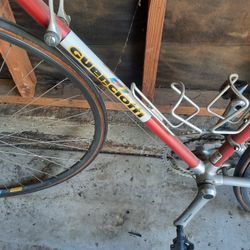 Gluterotti Road Bike