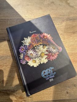 EDC Las Vegas collectors box 2015