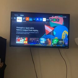 29” Vizio/Roku TV With Wall Mount