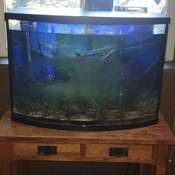 40 To 50 Gallon Fish Tank Fresh