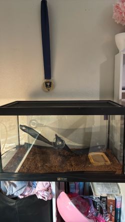 Enclosure