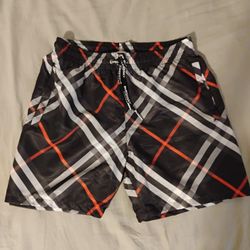 Burberry Swim Trunks