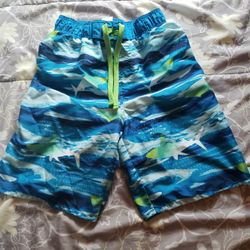Swim Shorts