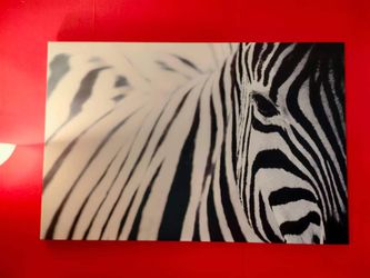 Zebra Canvas Wall Art