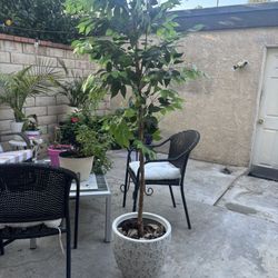 Potted Artificial birch Tree