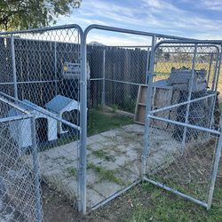 Large dog cage 10x10 rush