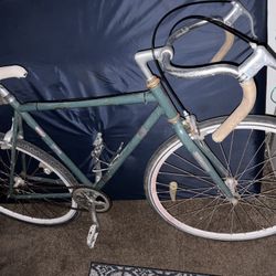Bike Trade/ OBO 