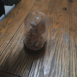 Handmade Baby Spider Sling Enclosure 