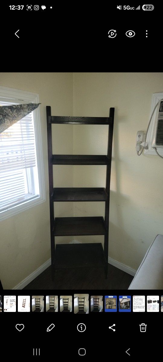 Ladder Shelf 