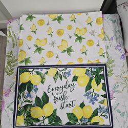 4 New water resistant fabric placemats.